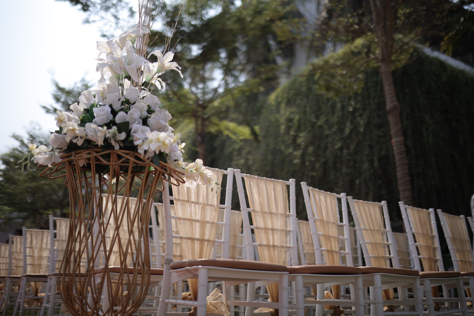 Lawn featuring organized seating arrangements.